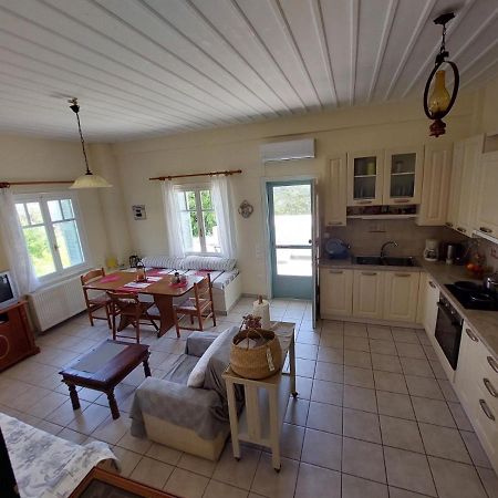 Palaiokrassa Sunny Appartment Mesaria (Andros) Exterior foto