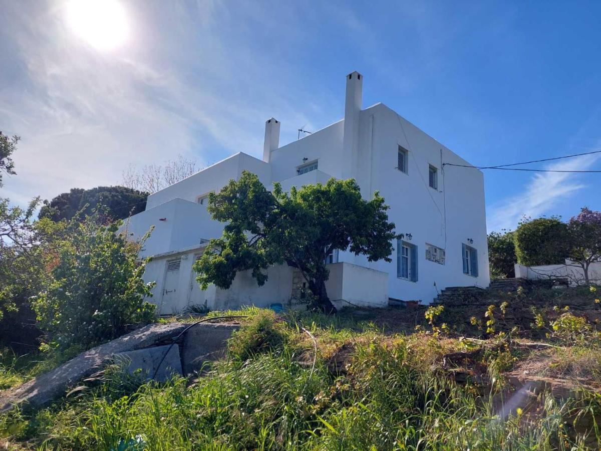 Palaiokrassa Sunny Appartment Mesaria (Andros) Exterior foto