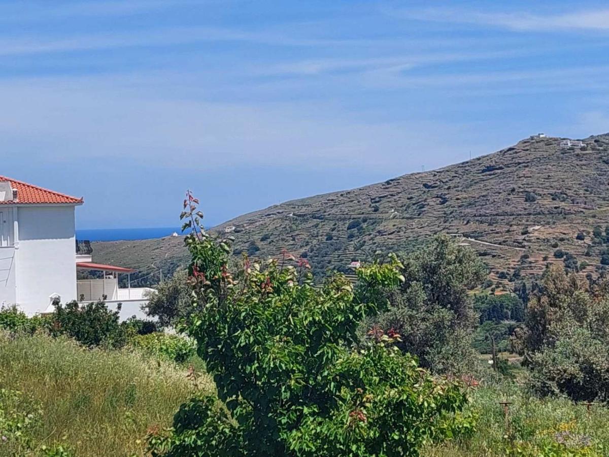 Palaiokrassa Sunny Appartment Mesaria (Andros) Exterior foto