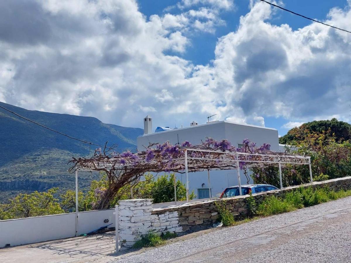 Palaiokrassa Sunny Appartment Mesaria (Andros) Exterior foto